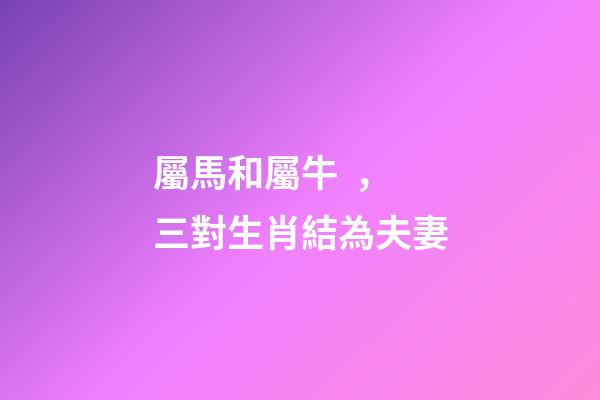 屬馬和屬牛，三對生肖結為夫妻-第1張-觀點-玄機派